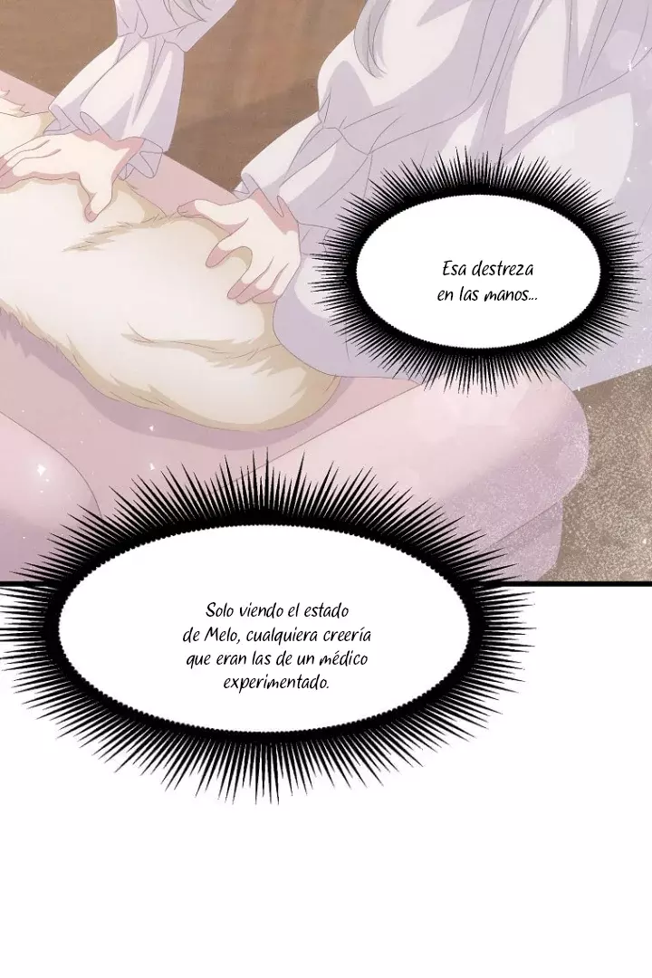 Página 55