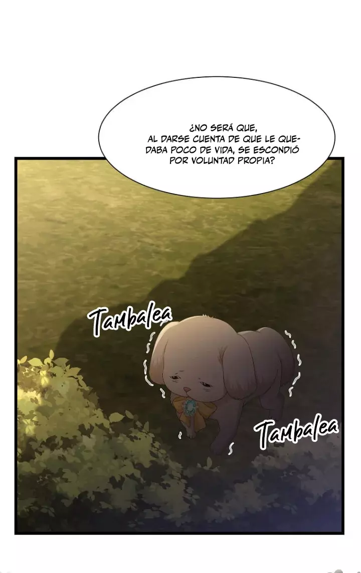 Página 71