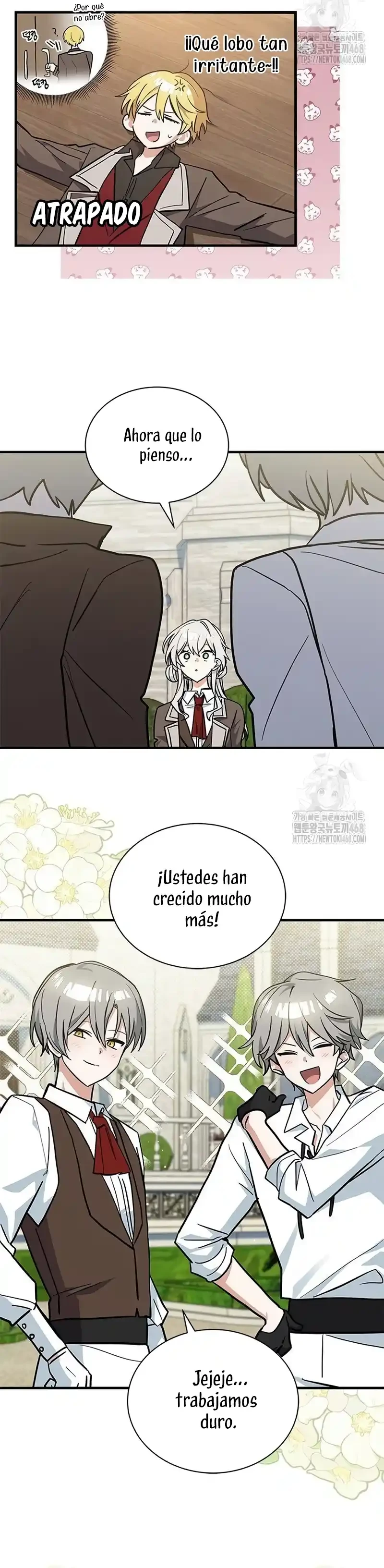 Página 31