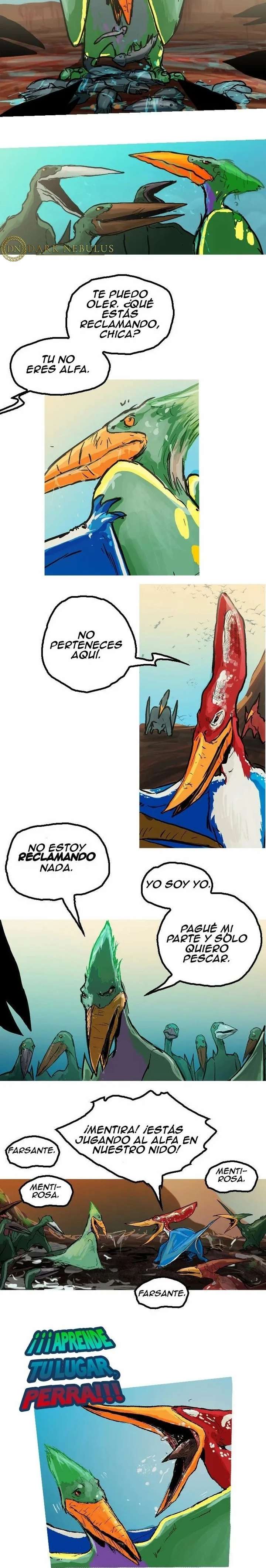 Página 14