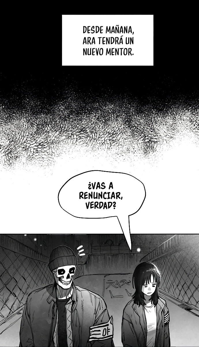 Página 243