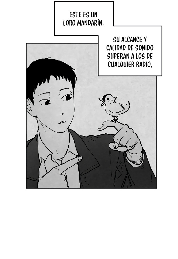 Página 35