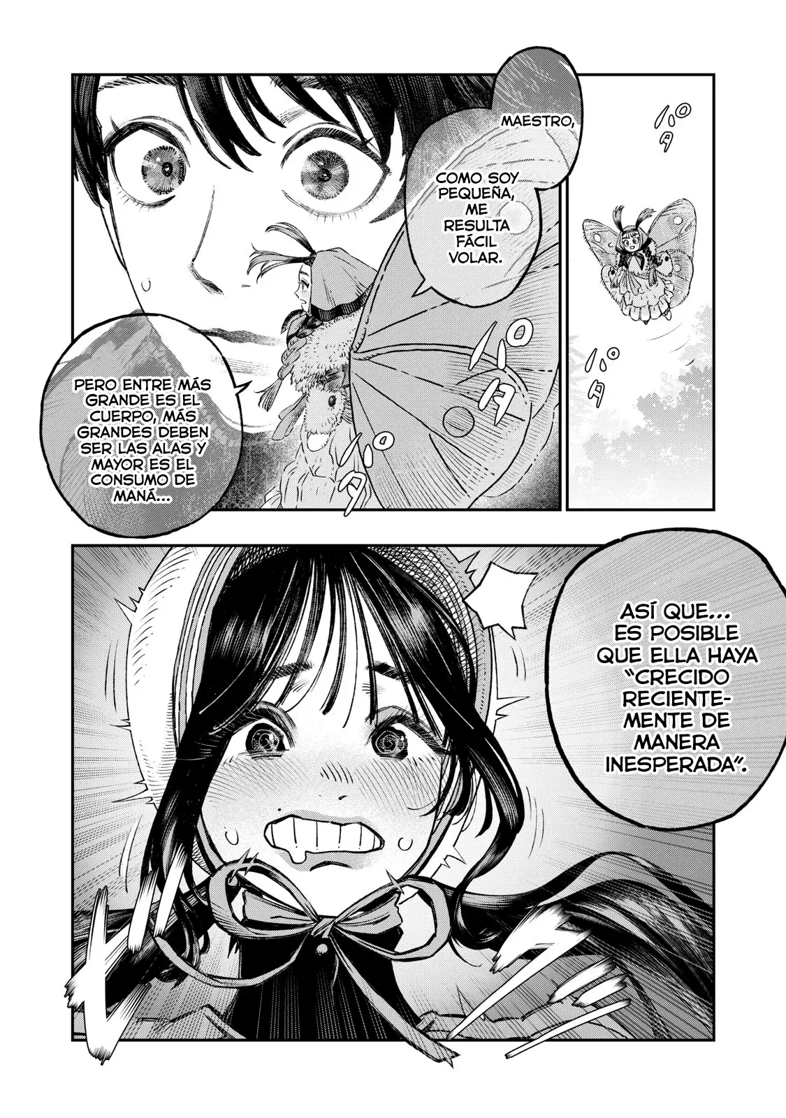 Página 19
