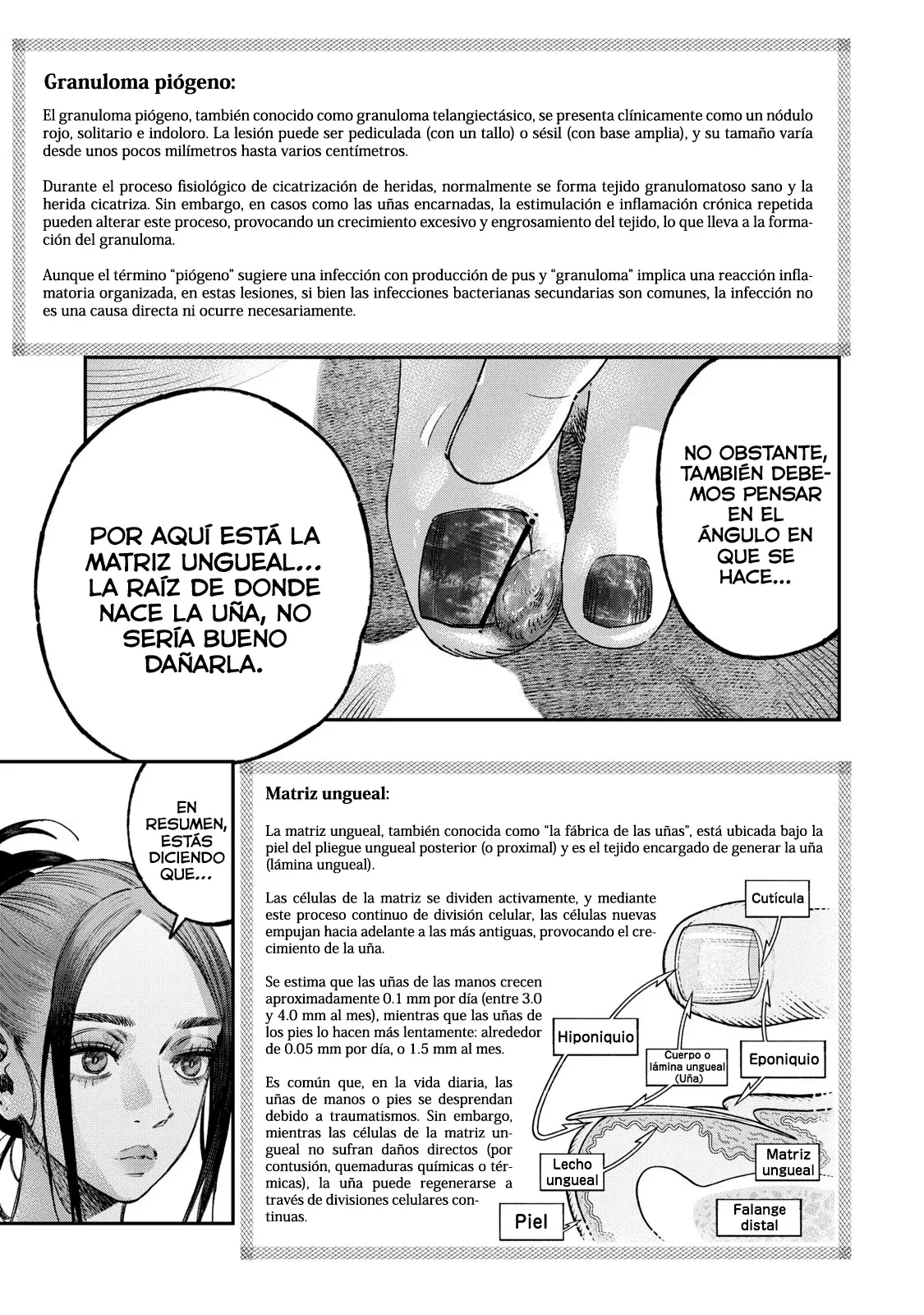Página 16