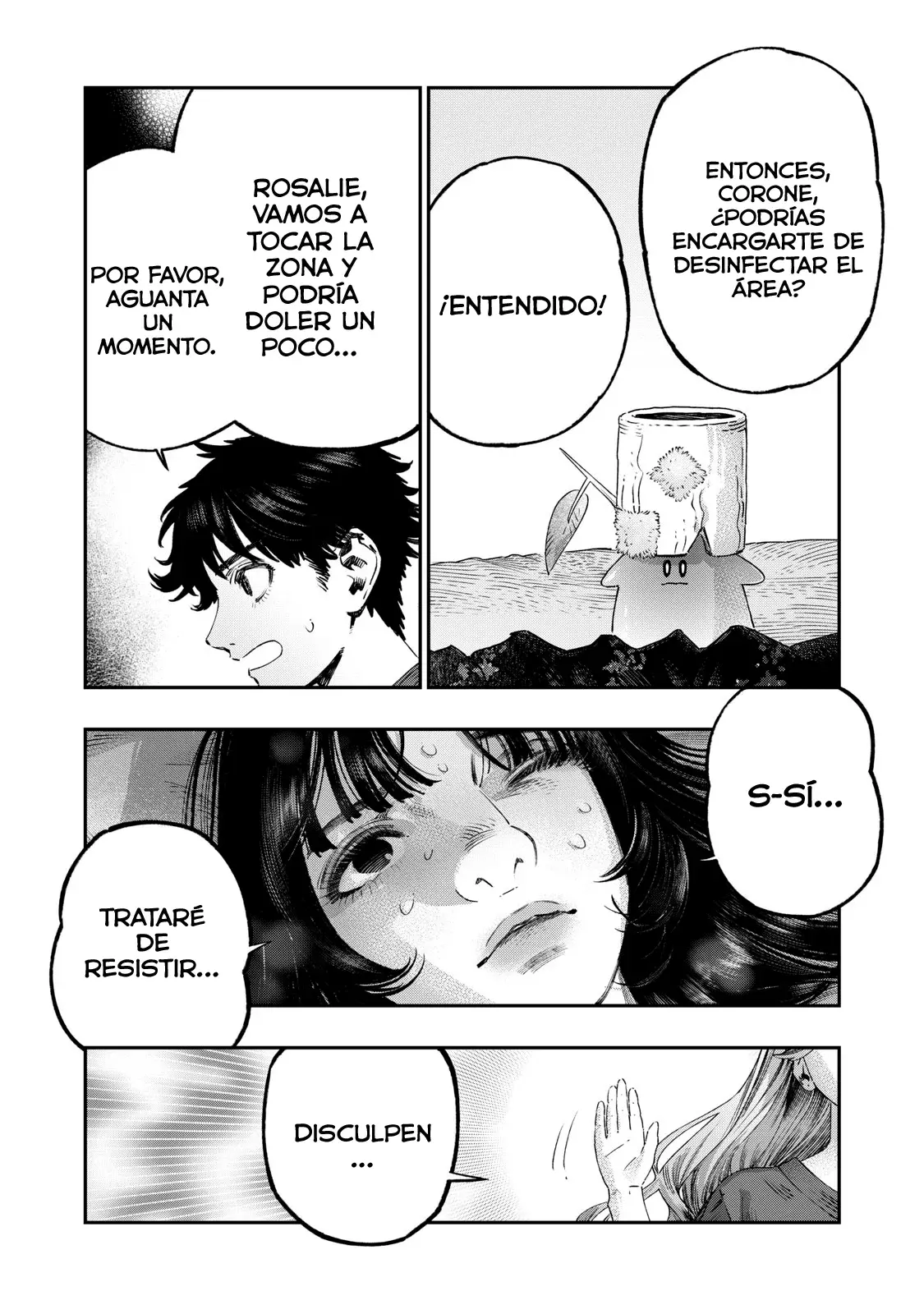 Página 19