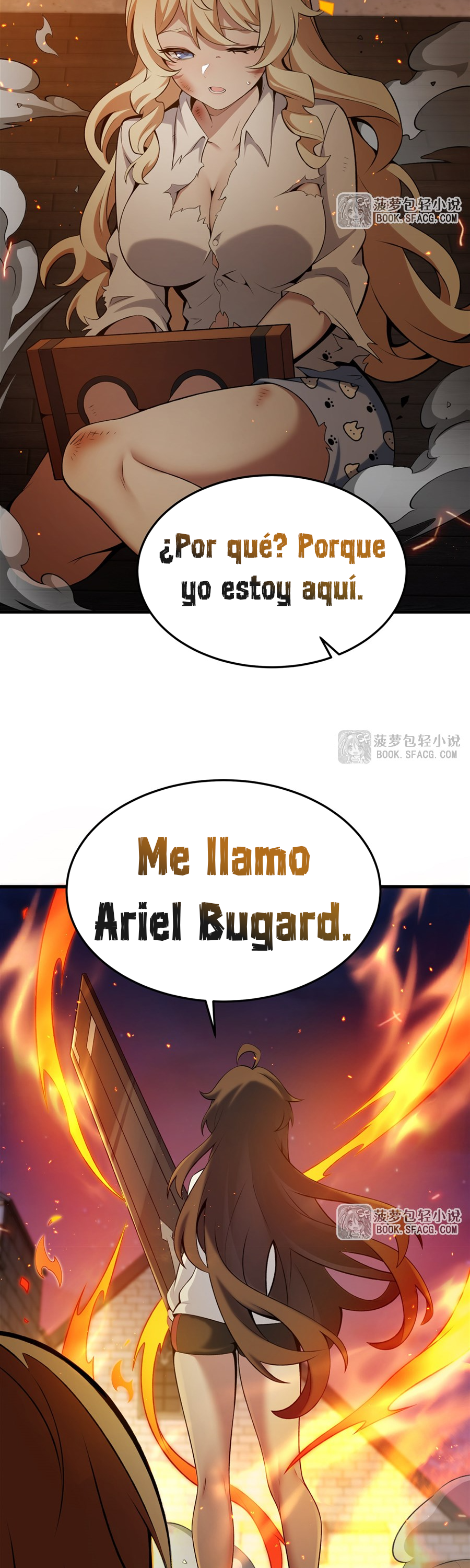Página 17