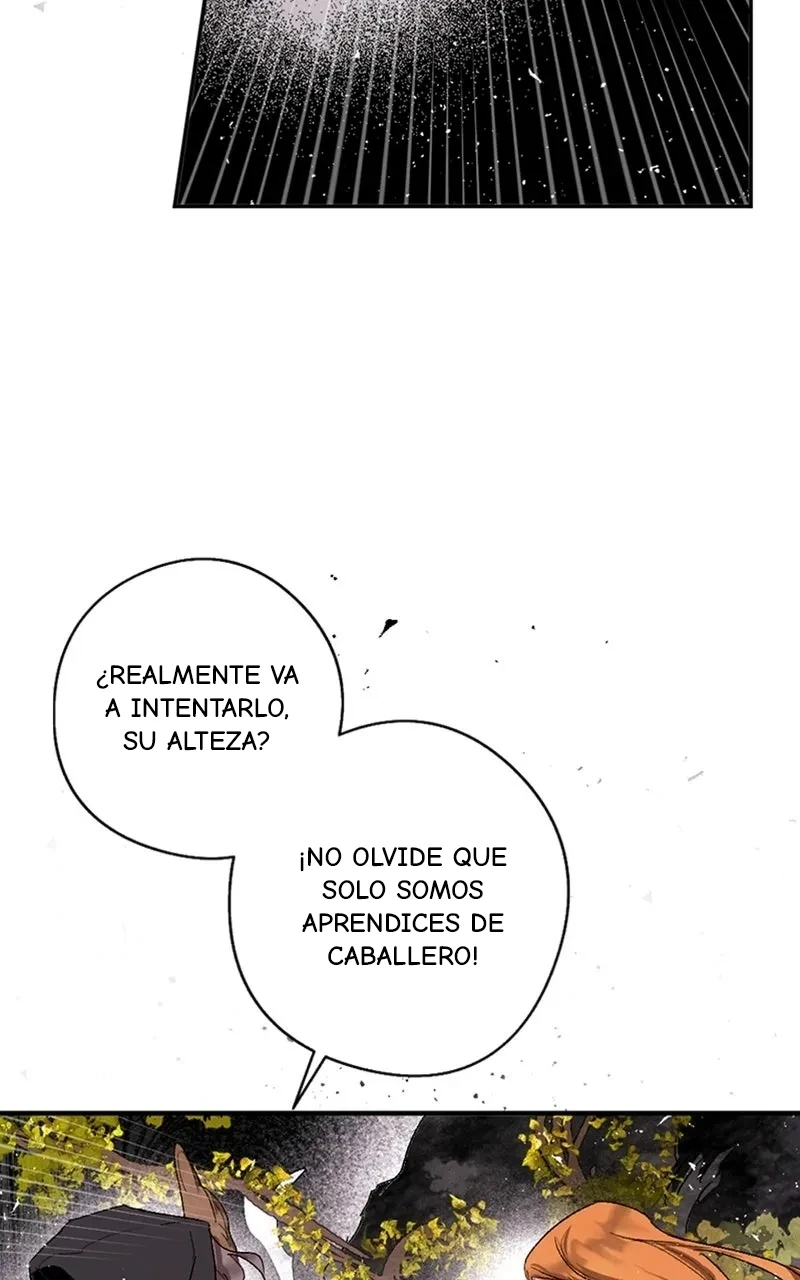 Página 56