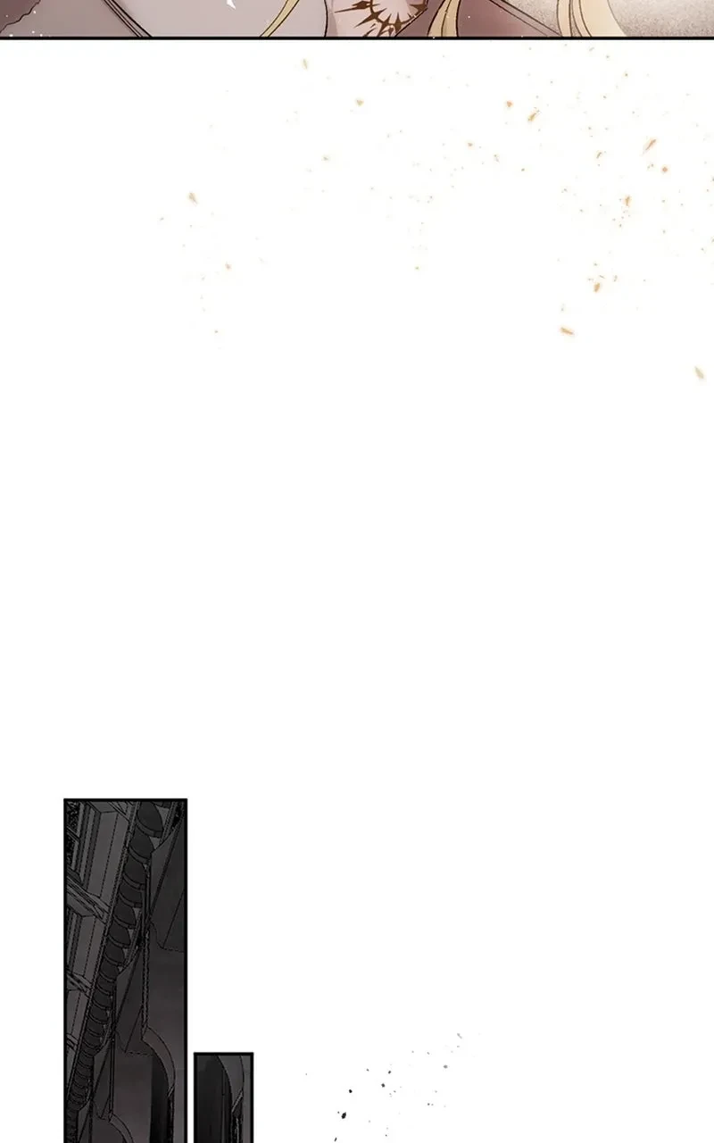 Página 46