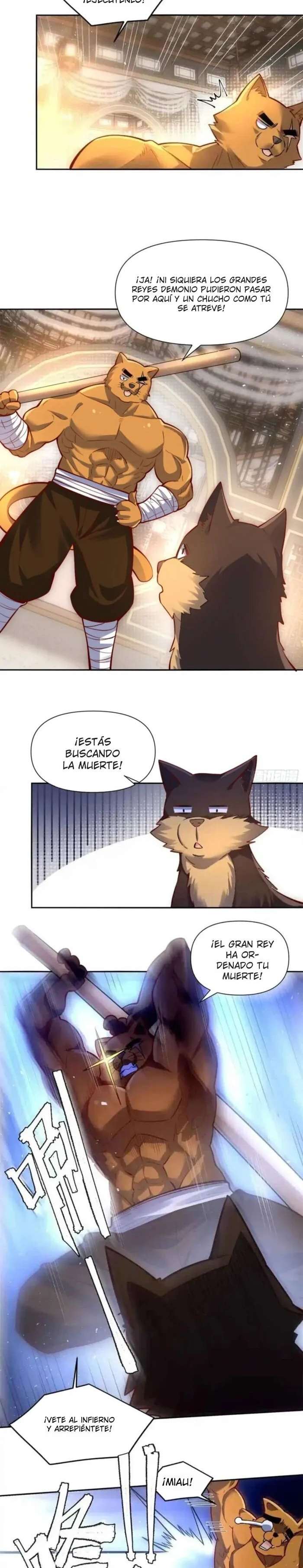 Página 5