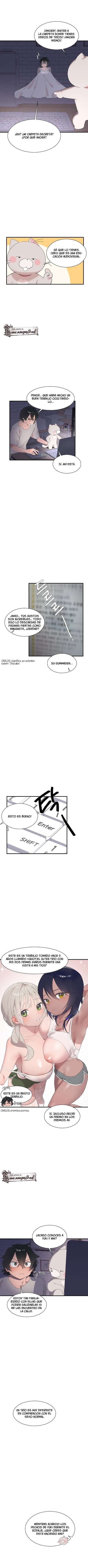 Página 7
