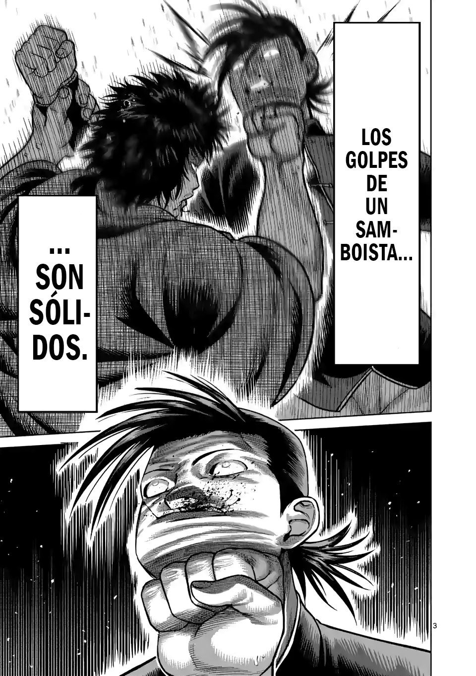 Página 3
