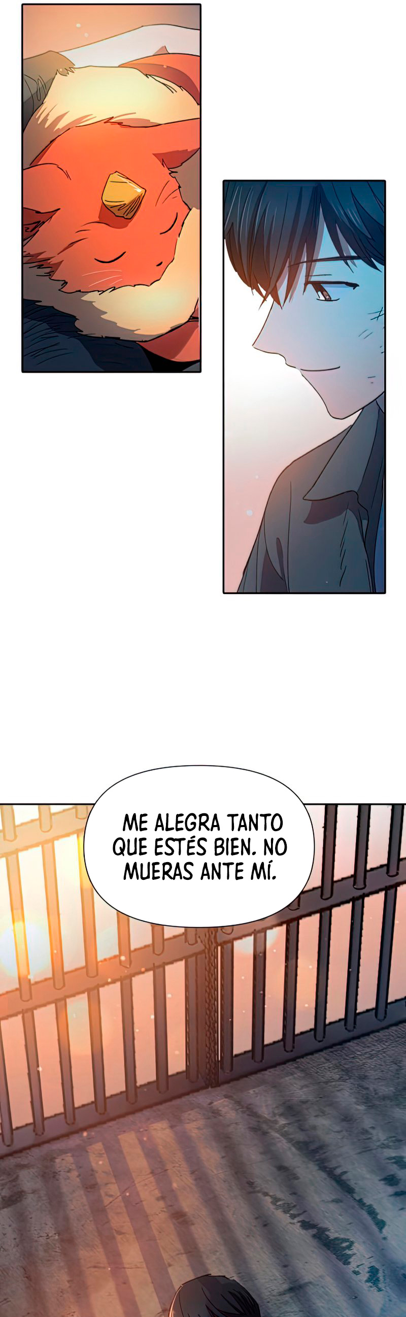 Página 31