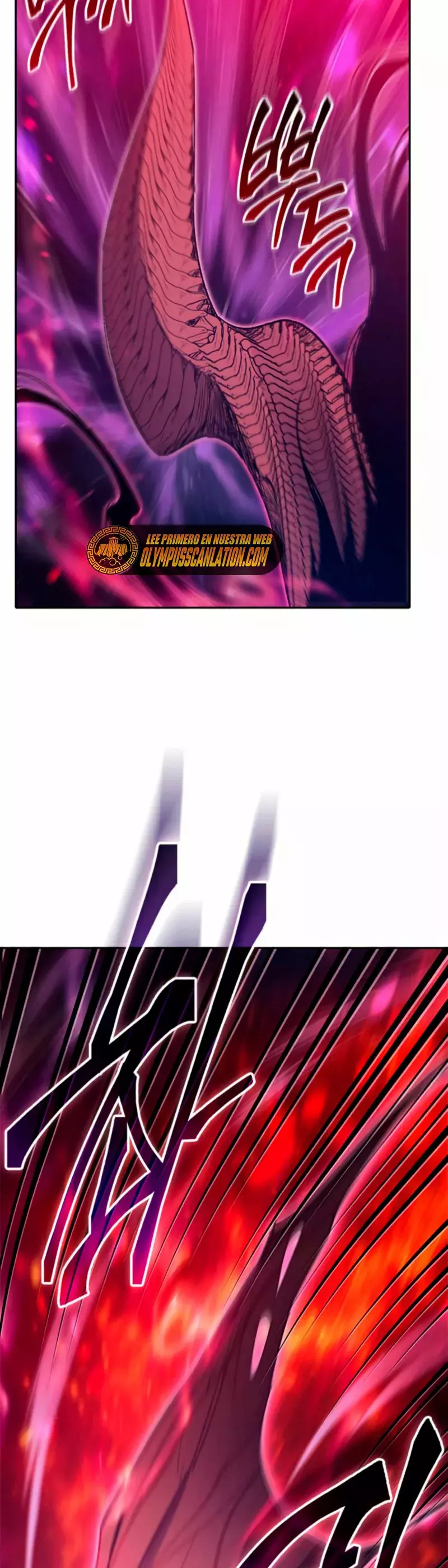 Página 49