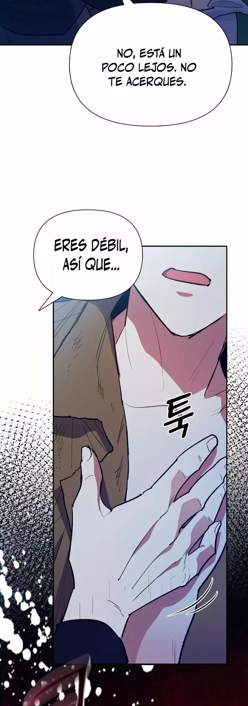 Página 46