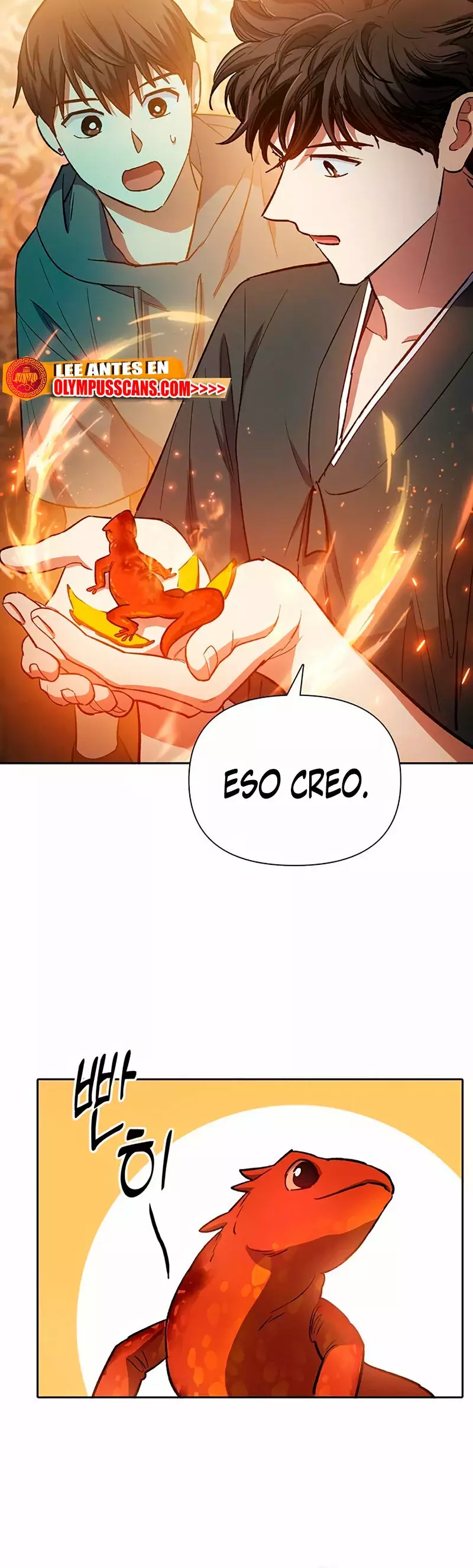 Página 45