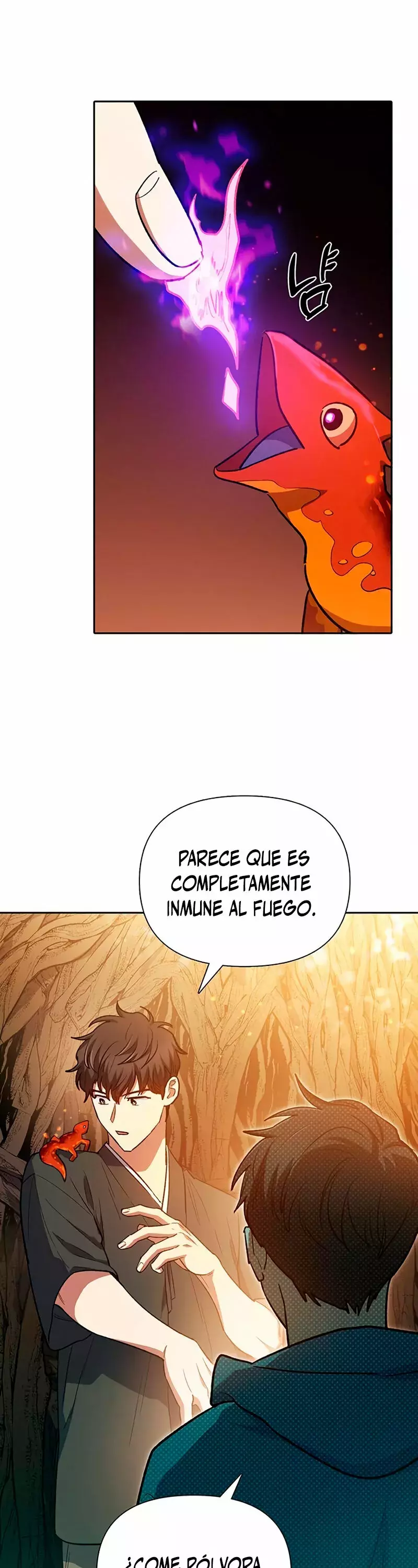 Página 51
