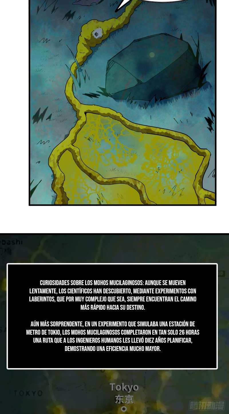 Página 31