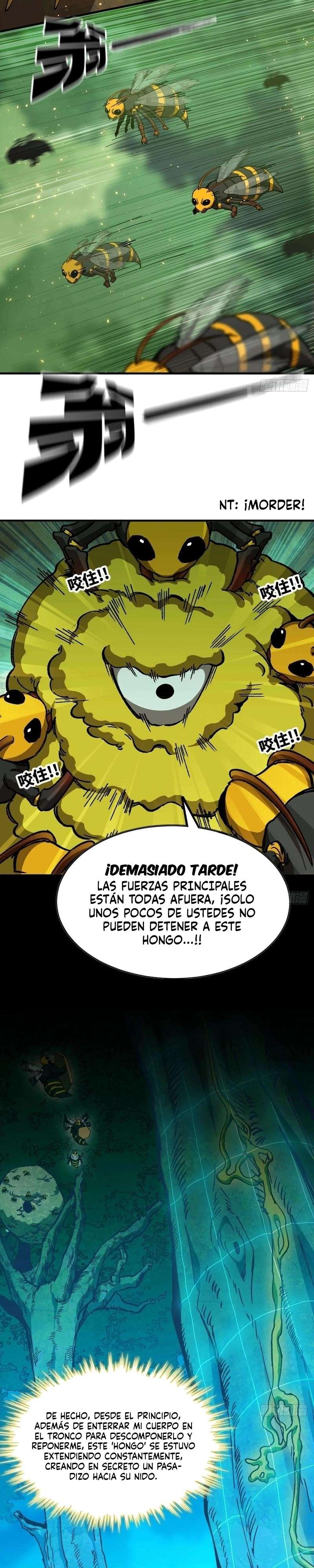 Página 20
