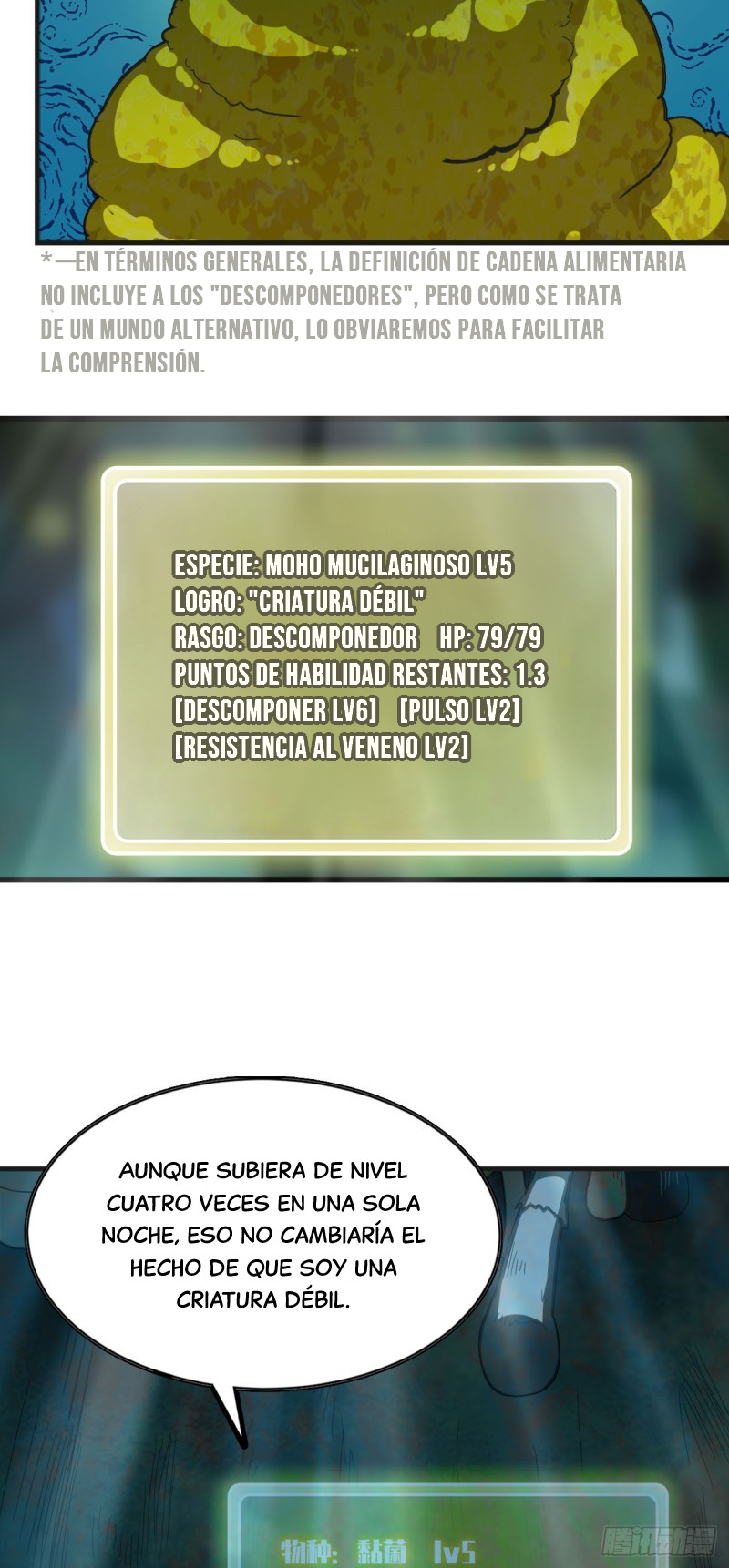 Página 35