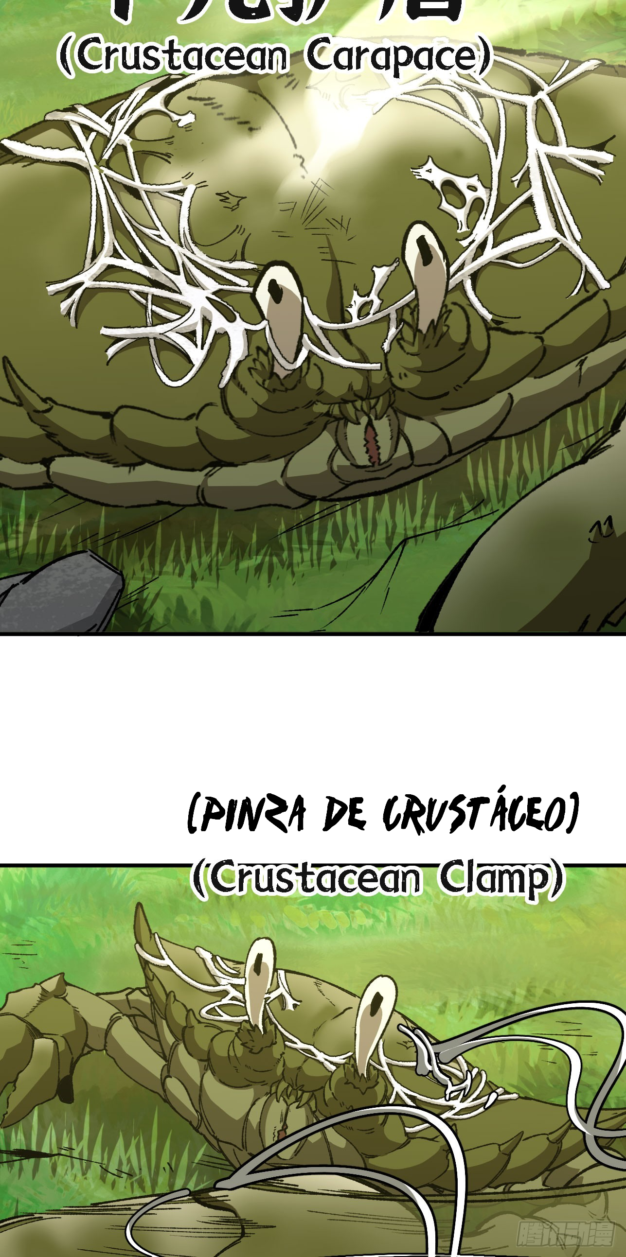 Página 52