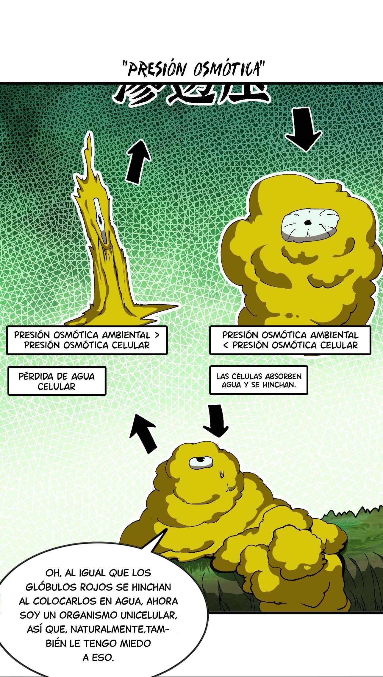 Página 9