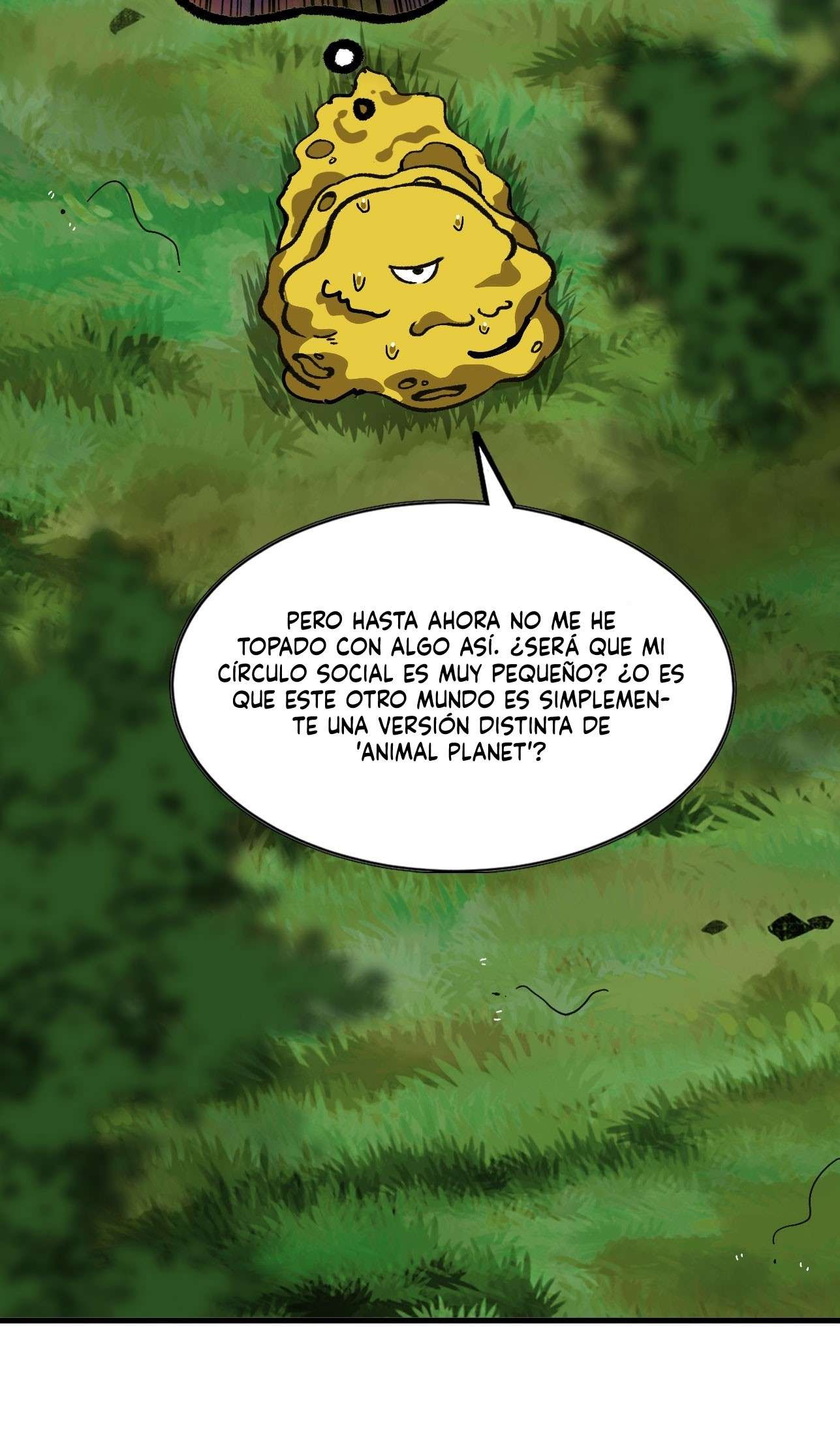 Página 21